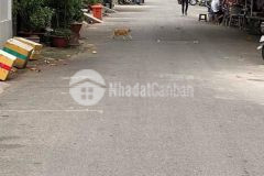 Nhà đep hẻm xe tải dt 55m24x14m 3 tầngview đẹp. tăng nhơn phú b thủ đức