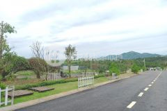 Đất bán tại tp.bảo lộc giá chỉ từ 1 tỷ, shr,view săn mây, xây nhà ngay hoặc cho thuê