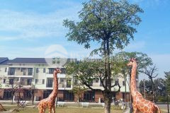 Chính chủ cần tiền bán căn sh đối diện công viên tại thành phố từ sơn centa city