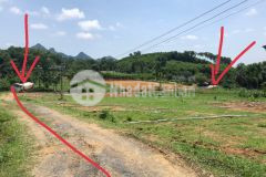 Cực sốc bán cắt lỗ chỉ 239 triệu lô 120 m2 full ont đường ô tô tránh, sổ đỏ bao sang tên