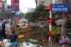 Bán gấp đất ba đình mặt phố hoàng hoa thám 268m2 55 tỷ chỉ 200trm2 100 nói không với quy hoạch.