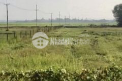 Cho thuê dài hạn đất 4567m2 mặt tiền đường trung lập, củ chi