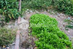 Bán gấp 46m2 đất an đà, đặng xá, gia lâm gần đường ô tô