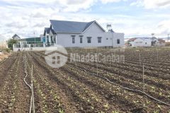 Đất nền giá rẻ tại trung tâm thạnh mỹ đơn dương lâm đồng