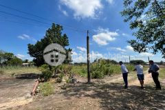 Khai bút đầu xuân bán lô đất tây ninh full thổ cư