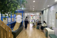 Ngõ 61 lạc trung nhà 5 tầng ngõ to đẹp hơn cả phố hai bà trưnh