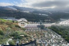 Ban đât xuân tho đương ô tô view đep gia tôt