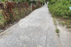 Bán đất full thổ cư hẻm ô tô vườn lài quận 12 245m2 giá 11.5 tỷ