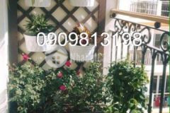 Trung tâm nhà q5 2pn sạch đẹp shr.