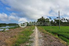 Cần bán 21.641,5m² công đất ruộng mặt tiền sông cái bé.