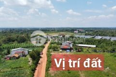 Đất cư kuin,tc sẵn, tiện ích đủ,đường 2 ô tô tránh, cách sb 20km, 245 tr