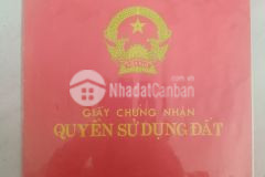 Bán đất trồng cây lâu năm mt rừng sác ấp an nghĩa xã an thới đông huyện cần giờ