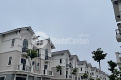 Bán căn song lập hàng đặc biệt duy nhất trên bảng hàng ở đẳng cấp kinh doanh đắc địa tại dự án c