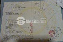 Xuất cảnh bán gấp tòa nhà 11c nguyễn hữu cảnh 1 hầm 5 lầu