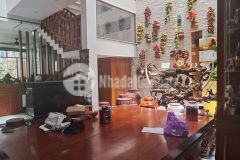 Bán nhà mặt tiền kinh doanh trần thị cờ quận 12 298m2 giá 21.7 tỷ