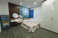 Bán ccmn mỹ đình 62m2x6t,thang máy 11 pkk, 65 triệutháng, ô tô, giá nhỉnh 8 tỷ