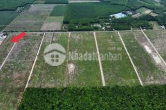 Cần bán đất nông nghiệp quy hoạch hồng đường oto thuận tiện xây nhà vườn tại xã nha bích