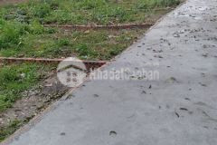 Chuyển nhượng quyền sở dụng 40,8m2 đất ở tại đặng xá chỉ 1,75 tỷ