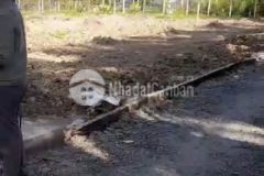 Bán 297m2 đường tổ 1011, thạnh phú,châu thành,tiền giang