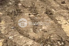 Bán đất mt tam thôn hiệp, an thới đông, cần giờ 6 x 57, giá 5 tỷ