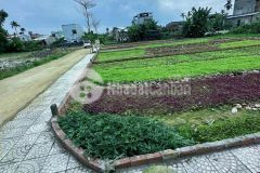 Mua đất nghĩa trung giá cực sốc và những phần quà hấp dẫn