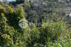 Bán đất khe sanh đà lạt 500m² đường ô tô, có thể chuyển đổi thành đất xây dựng