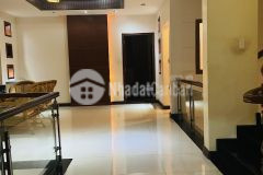 Siêu phẩm mặt tiền sát cư xá tự do, tân bình, 160m2, 7 tầng, giá rẻ