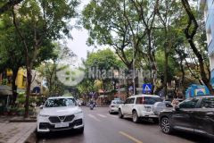 Biệt thự nhà vườn kđt mỹ đình ii vỉa hè ô tô tránh view vườn hoa thoáng mát lh 0962745289