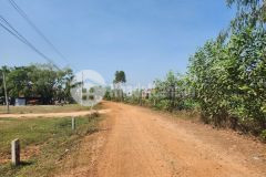 Cần tiền nên tôi bán lô đất ở xã tân phú, huyện tân châu, tỉnh tây ninh