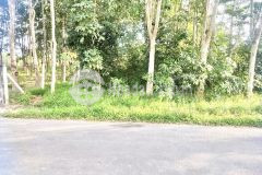 Đại hạ giá lô đất thổ vườn 822m2 200m thổ cưbà thiên,củ chi,4trm2.