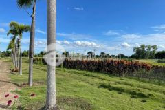 Bán 3 lô đất sào sông luỹ 8461m2 liền nhau từ 145km2 ngay farm gần safari quốc lộ 1a.lh zalo