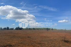 Bán đất vườn sông lũy, có đường trên sổ, diện tích 4212m2.có đường, nở hậu, giá rẻ