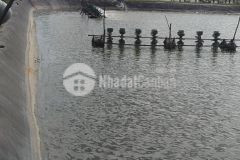 Bán 5công đất mặt tiền đường long hải,long bình,gò công tây,tiền giang