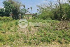 Bán 112,2m2 thổ cư tại quảng điền, thừa thiên huế, shr, chỉ 700tr. lh0329816816.