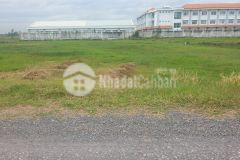 Bán 3223m2 đất đẹp tại xã phước hiệp củ chi, shr, chỉ 5trm2. lh0981809968