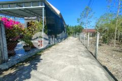 Bán đất diên thọ giá rẻ cách hương lộ 62 chỉ 50m