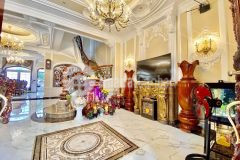 Biệt phủ lâu đài sang trọng đẳng cấp đường cmt8, tân bình 10mx28m 5 tầng lh 0902160655