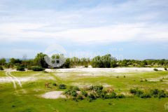 Đất vườn gần biển chỉ chưa tới 272 triệu sở hữu hơn 2000m2 shr lh hoặc add zalo xem sổ