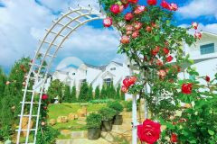 Đất tại khu la beaute bảo lộc cách chợ tiện ích 2km sổ sẵn full thổ cư công chứng ngay