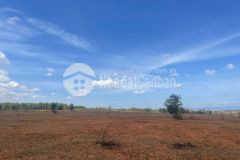 Bán đất sào sông lũy diện tích nhỏ, vuông đẹp, gần đường giá 271 triệu.liên hệ 0919 626 750