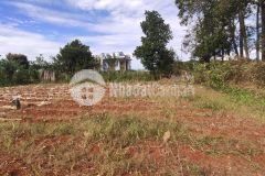 Cần bán đất xây phòng trọ gần hasfarm view toàn cảnh hồ ròn