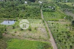 Bán lô đất 3 mặt tiền có ao hồ, trồng bạch đàn tại ven biển bình thuận.liên hệ hoặc add zalo ạ