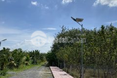 Bán đất gò dầu 100 thổ cư, vị trí đẹp, giá tốt, làm nhà ngay