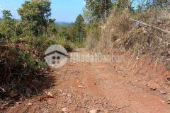 Đất buôn đôn,có ao, giếng khoan, điện, vườn cây, cách bmt 24km