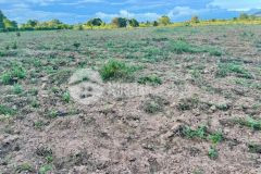 Bán 2726m2 đất sào hồng liêm cách ql1a 650m gần safari, ubnd chỉ 681tr, xe đến tận đất.0919626750