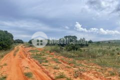 Bán lô đất xã sông luỹ cách ql1a chỉ 1km gần safari rạng đông 8459m2 giá 144km2