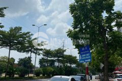 Bán đất lô góc, ô tô 81m, mt 8.7m chỉ nhỉnh 6 tỷ.