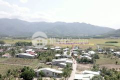 Bán 1.38ha đất nông nghiệp huyện diên khánh, sổ đỏ, chỉ 1.68 tỷ. lh0358353789.