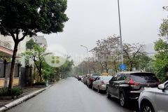 Cần bán nhà pl nguyễn khang. dt 82m x 7 tầng. thang máy. giá 22,5 tỷ. lh 0964769634