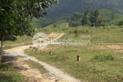 Bán đất giá cực rẻ tại khánh trung qh full thổ cư chỉ 310tr